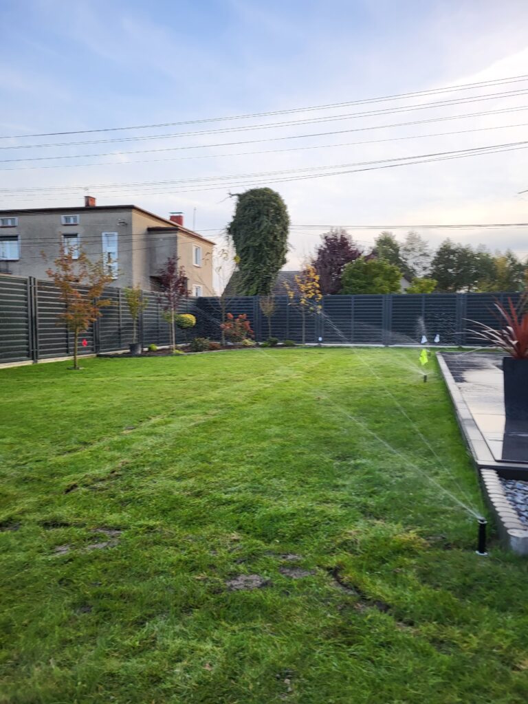 20231023 171149 768x1024