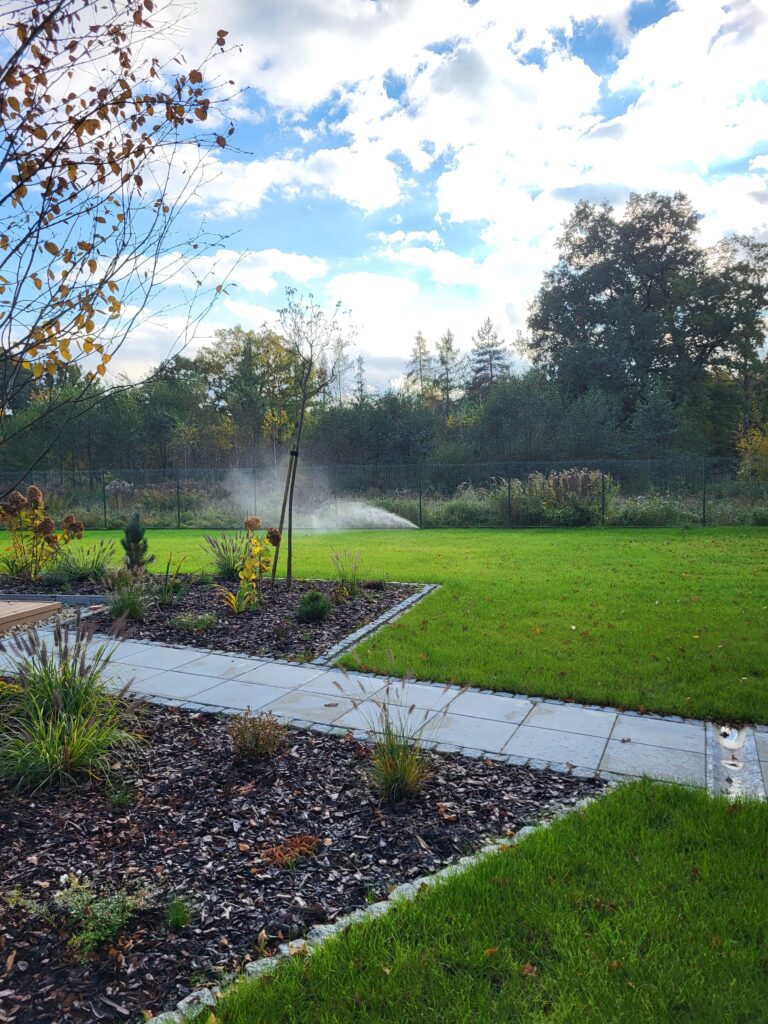 20231025 150355 768x1024